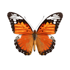 Obraz na płótnie Canvas butterfly isolated on white, transparent background, PNG , digital ai art 