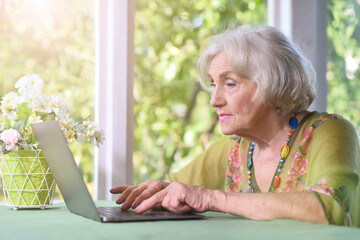 Beautiful elderly woman uses her laptop at her country house