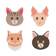 cat cartoon. pet characters illustration	

