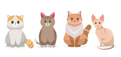 cat cartoon. pet characters illustration	
