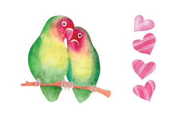 Fototapeta na wymiar Watercolor valentines day love bird couple, hand drawn watercolor vector illustration for greeting card or invitation design