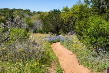 A wonderful Spring day with a foothpath leading through wildflowers and bluebonnets at Inks Lake State Parks in Burnet Texas
