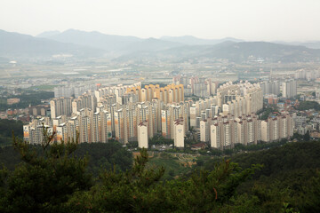 Fototapeta premium view of the city