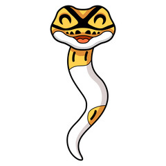 Cute albino pied ball python cartoon