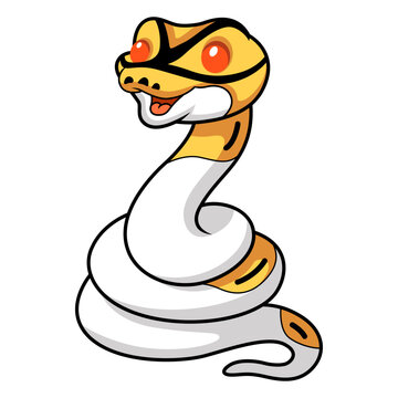 Cute albino pied ball python cartoon