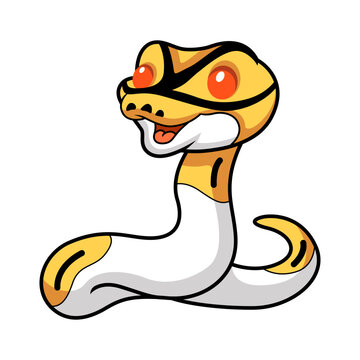 Cute albino pied ball python cartoon