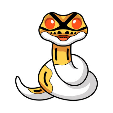 Cute albino pied ball python cartoon