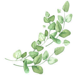 Eucalyptus branch. Green frame for rustic background. Template for banner or wedding invitation. Watercolor illustrations with plants.