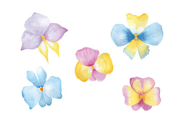 Orchid flowers collection, hand drawn watercolor vector illustration for greeting card or invitation design
