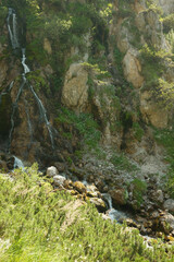 Vertical shot of raging waterfalls surrounded by trees in Austrian alps