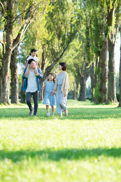 ポプラ並木を歩く家族