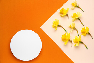 Beautiful narcissus and round blank card on color background