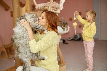 Happy woman spending time with cat in animal shelter