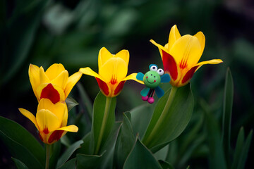 Fairy tale character in the flower garden.Tulips in the garden.Children's, fairy-tale figurine in...