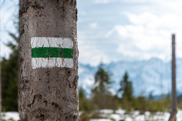 Marking the green trail on the tree. Mountains in the background. The green trail to Rusinowa Polana in the Tatra Mountains. Poland © p  a  t  r  i  c  k