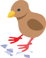 Newborn chicken icon isometric vector. Chick egg. Farm bird