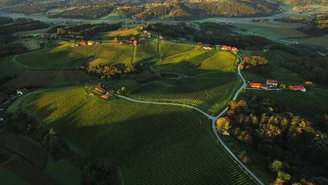 Aerial drone 4K footage of Prlekija in the morning during sunrise. Prlekija is a picturesque region in northeastern Slovenia known for its rolling hills, lush vineyards, and rich cultural heritage.