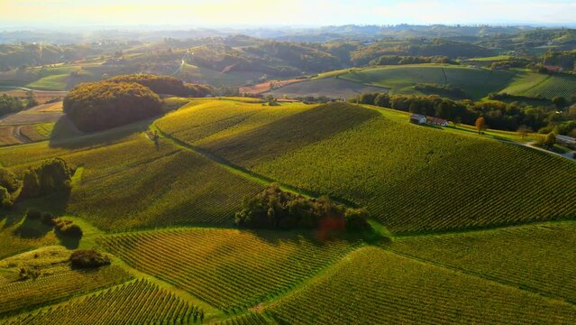 Aerial drone 4K footage of Prlekija in the morning during sunrise. Prlekija is a picturesque region in northeastern Slovenia known for its rolling hills, lush vineyards, and rich cultural heritage.