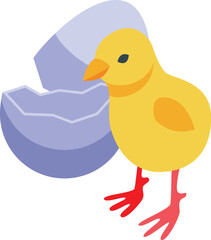 Chicken bird icon isometric vector. Chick egg. Easter farm