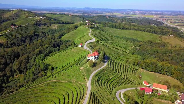 Aerial drone 4K footage of Podlehnik during the daylight. Podlehnik is part of the Haloze region which is a picturesque region in northeastern Slovenia.