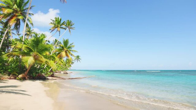 Nice view of the beach line with tall palm trees and the ocean. Blue sky and white waves of turquoise sea on yellow sand. Tropical beach background as a summer landscape. Paradise island landscape.
