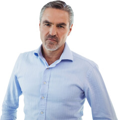 Obraz premium Portrait of businessman