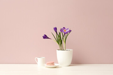 Pot with beautiful crocus flowers, cup and tasty macaroon on table near beige wall