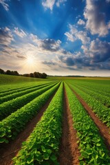 Green ripening soybean field, agricultural landscape. Generative AI