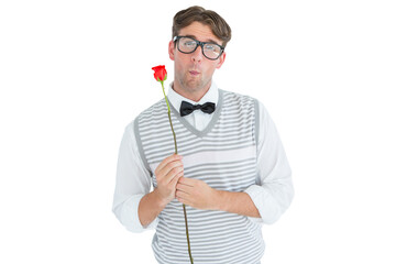 Obraz premium Geeky hipster holding a red rose 