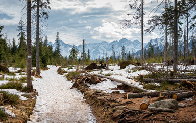 Mountain trail. Green trail to Rusinowa Polana. The High Tatras in the background. Early spring. Fallen trees lying down. Tatra Mountains, Poland © p  a  t  r  i  c  k