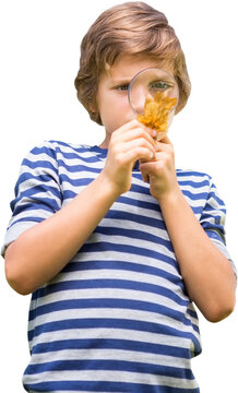 Boy at looking leaf through magnifying glass