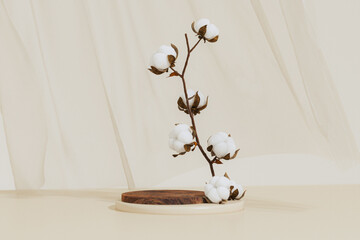 Minimal composition with Branch white cotton flowers, wooden podium on beige background. Delicate light beauty cotton background. Natural organic fiber, raw materials for making fabric. 3d render - obrazy, fototapety, plakaty