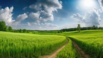 Fototapeta na wymiar Rural landscape with wheat field. Generative AI