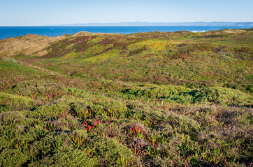 The Beach at Point Reyes National Seashore