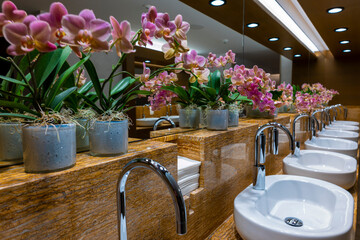 Orchid Flower in a Elegant Bathroom with Sinks in Switzerland.