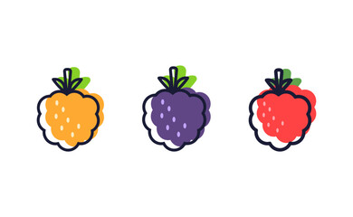 Set  berries. Cloudberry, raspberry, blackberry. Cartoon Line style. Isolated on white background.  For web design, poster; app; package.