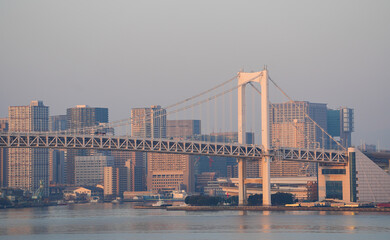 Fototapeta premium Sunrise in Tokyo. Beautiful cityscape with the modern skyscraper office buildings on skyline of Tokyo during sunrise. Travel to Japan.