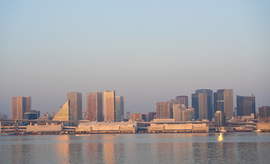 Fototapeta premium Sunrise in Tokyo. Beautiful cityscape with the modern skyscraper office buildings on skyline of Tokyo during sunrise. Travel to Japan.