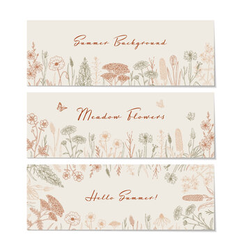 Meadow flowers background. Hand drawn field wildflowers border. Vector illustration in sketch style. Aesthetic botany horizontal design