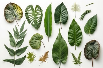 Tropical green leaves isolated on a white background. Generative AI Illustration