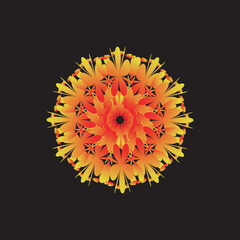 flower on black background illustration 