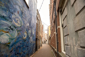 The Netherlands, Delft, 2022. Narrow street in Delft, walled with van Gogh painting emanation