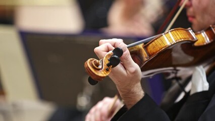 Professional symphonic string orchestra performing on stage and playing a classical music concert, violinist in a foreground