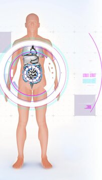 Animation of digital interface over human body model