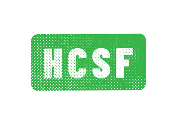 HCSF - Haut Conseil de stabilité financière en france