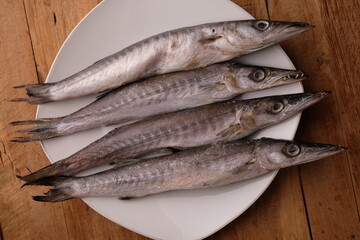 Barracuda fish in a white ceramic plate on a wooden table. Barracuda are fish in the class Actinopterygii. ikan barakuda. ikan cucut.