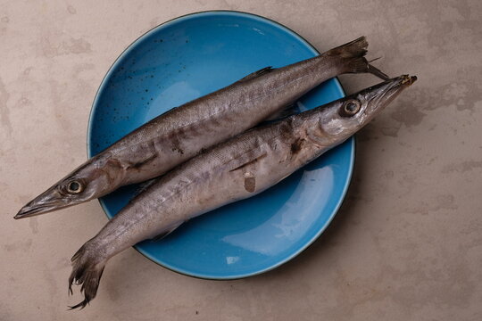 raw Barracuda fish in a blue ceramic plate on a wooden table. Barracuda are fish in the class Actinopterygii. ikan barakuda. ikan cucut. 