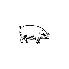 vector illustration of a pig