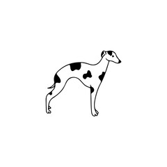 vector doodle illustration of a dog