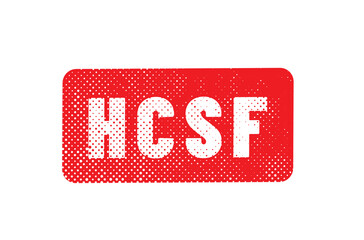 HCSF - Haut Conseil de stabilité financière en france